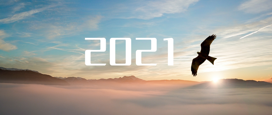 乘“峰”而上，智“盈”未来 ——2021年九游ninegame环境高级资深副总裁新年开工动员